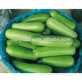 Super early maturity bottle gourd seed For growing-Short Sleeve